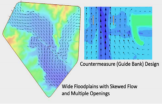 Two-dimensional hydraulic model of wide floodplains with arrows indicating river flow.